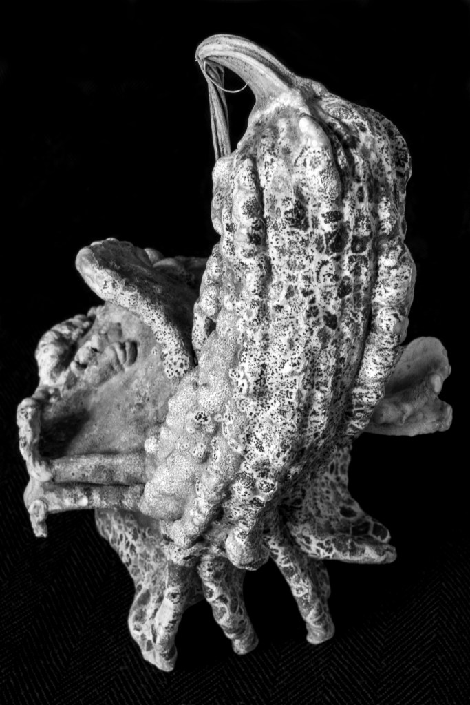 An abstract greyscale image of a gourd against a black background