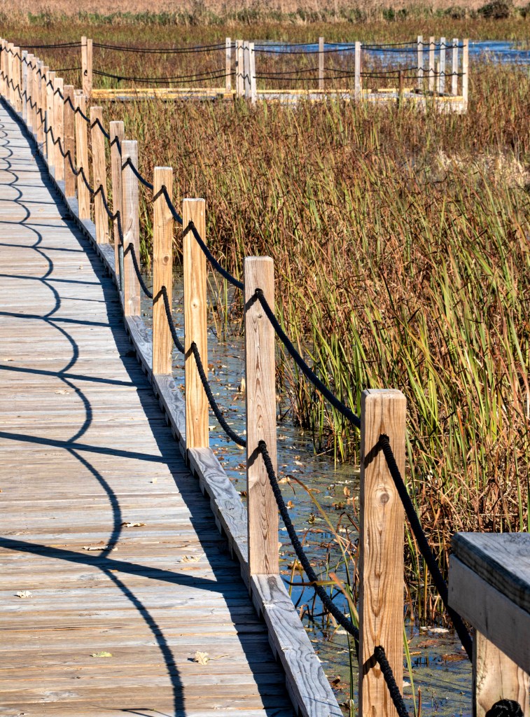 the repetitive pattern of shadows from the rope fence along the wooden boardwalk beside a marsh